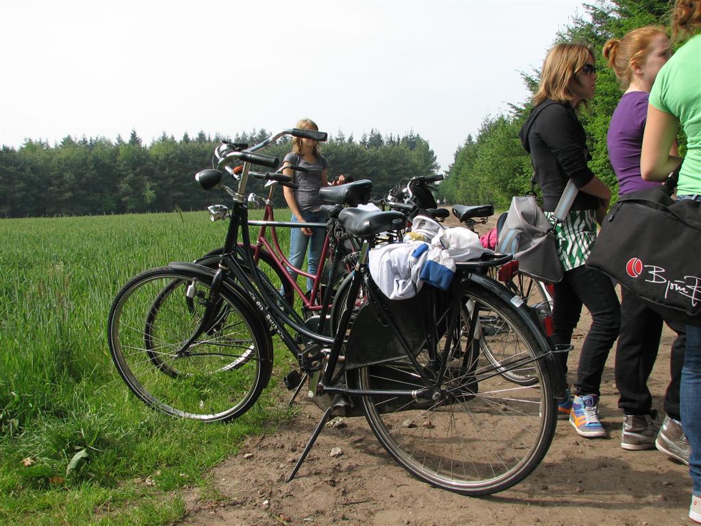 IMG_6005 (Large).jpg